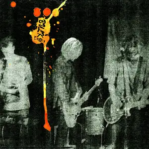 Tycho Magnetic Anomaly One: Bulk