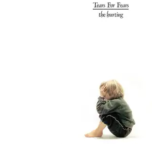 Tears For Fears: The Hurting