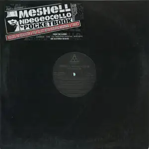 Me'Shell NdegéOcello: Pocketbook