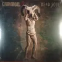 Criminal: Dead Soul