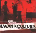 Gilles Peterson Presents Gilles Peterson's Havana Cultura Band: New Cuba Sound