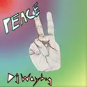 DJ Waybig: Peace