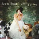 Norah Jones: Chasing Pirates