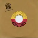 Bunny Wailer / Tuff Gong All Stars: Searching For Love / Must Skank