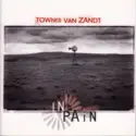 Townes Van Zandt: In Pain