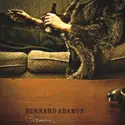 Bernard Adamus: Brun
