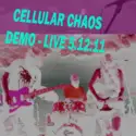 Cellular Chaos: Demo - Live 5.12.11