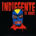 Various: Indiegente 15 Anos