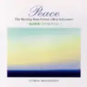 Fumio Miyashita: Peace - The Healing Rain Forest: Meditation
