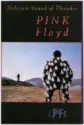 Pink Floyd: Delicate Sound Of Thunder