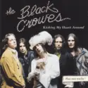 The Black Crowes: Kicking My Heart Around