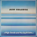 New Celeste: High Sands And The Liquid Lake