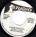 The Silvertones: Burning In My Soul