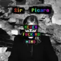 Sir Picaro: Neverfuckingmind