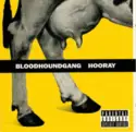 Bloodhound Gang: Hooray
