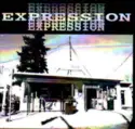 Various: Expression Vol.1