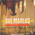 Armando Valsani: Ave Marias: Sucessos Internacionais