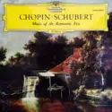 Frédéric Chopin · Franz Schubert / Tamás Vásáry . Jörg Demus: Music of the Romantic Era