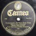 Paul Van Loan And His Orchestra / Varsity Eight: Underneath The Yum-Yum Tree / Yes, Sir! That's My Baby