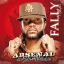 Fally Ipupa: Arsenal De Belles Mélodies