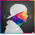 Avicii: Stories