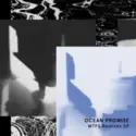 Ocean Promise: MTFS Remixes EP