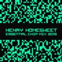 Henry Homesweet: Essential Chip Mix 2015