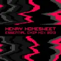 Henry Homesweet: Essential Chip Mix 2013