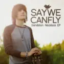 SayWeCanFly: Dandelion Necklace EP