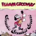 The Flamin' Groovies: Groovies' Greatest Grooves