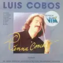 Luis Cobos: Vienna Concerto