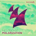 Melosense: Polarization