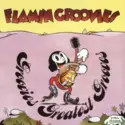 The Flamin' Groovies: Groovies Greatest Grooves
