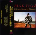Pink Floyd: Delicate Sound Of Thunder Vol.I