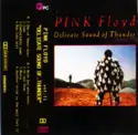 Pink Floyd: Delicate Sound Of Thunder Vol.II