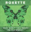 Roxette: Why Don't You Bring Me Flowers?