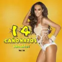 Various: 14 Cañonazos Bailables Vol. 56
