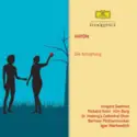 Joseph Haydn - Irmgard Seefried, Richard Holm, Kim Borg, Chor Der St. Hedwigs-Kathedrale Berlin, Berliner Philharmoniker, Igor Markevitch: Die Schöpfung