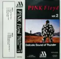 Pink Floyd: Delicate Sound Of Thunder Vol.2