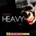 Various: The Best Of Heavy Vol. 1 - Multimedia Music