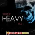 Various: The Best Of Heavy Vol. 2 - Multimedia Music