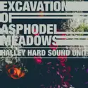Halley Hard Sound Unit: Excavation Of Asphodel Meadows