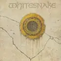 Whitesnake: 1987
