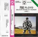 Pink Floyd: Delicate Sound Of Thunder - Part 1