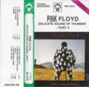 Pink Floyd: Delicate Sound Of Thunder - Part 2