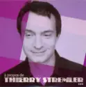Thierry Stremler: A Propos De Thierry Stremler...