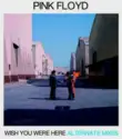 Pink Floyd: Wish You Were Here Alternate Mixes