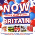 Various: Now That's What I Call Britain