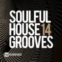 Various: Soulful House Grooves 14