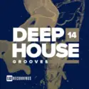 Various: Deep House Grooves 14